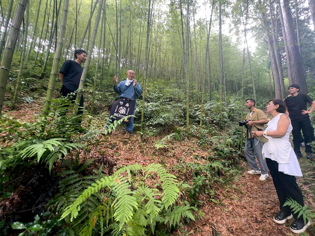 雨の虎竹の竹林