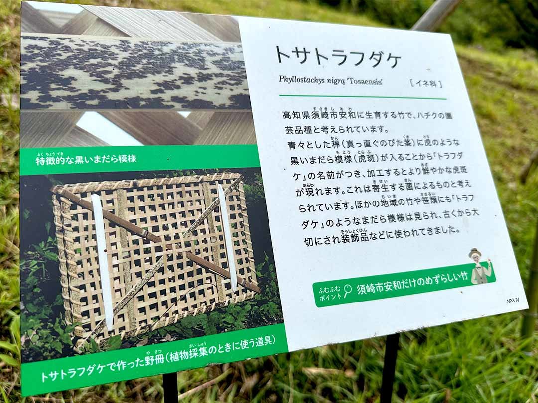 虎竹野冊