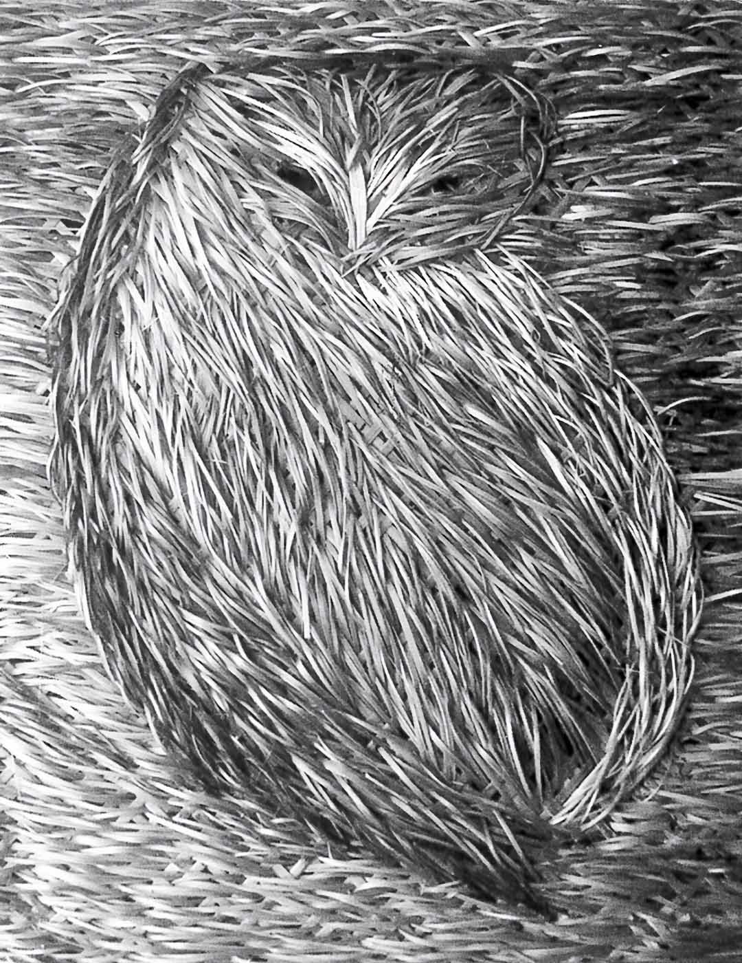 竹芸作家・鬼塚英竹氏竹の絵福郎