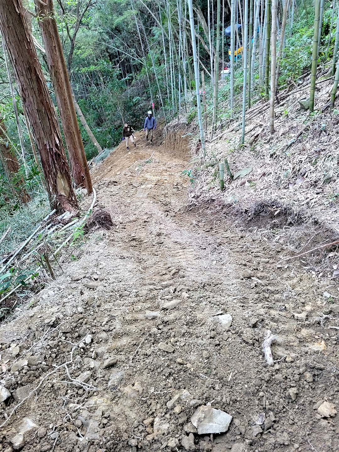 竹林に整備した山道