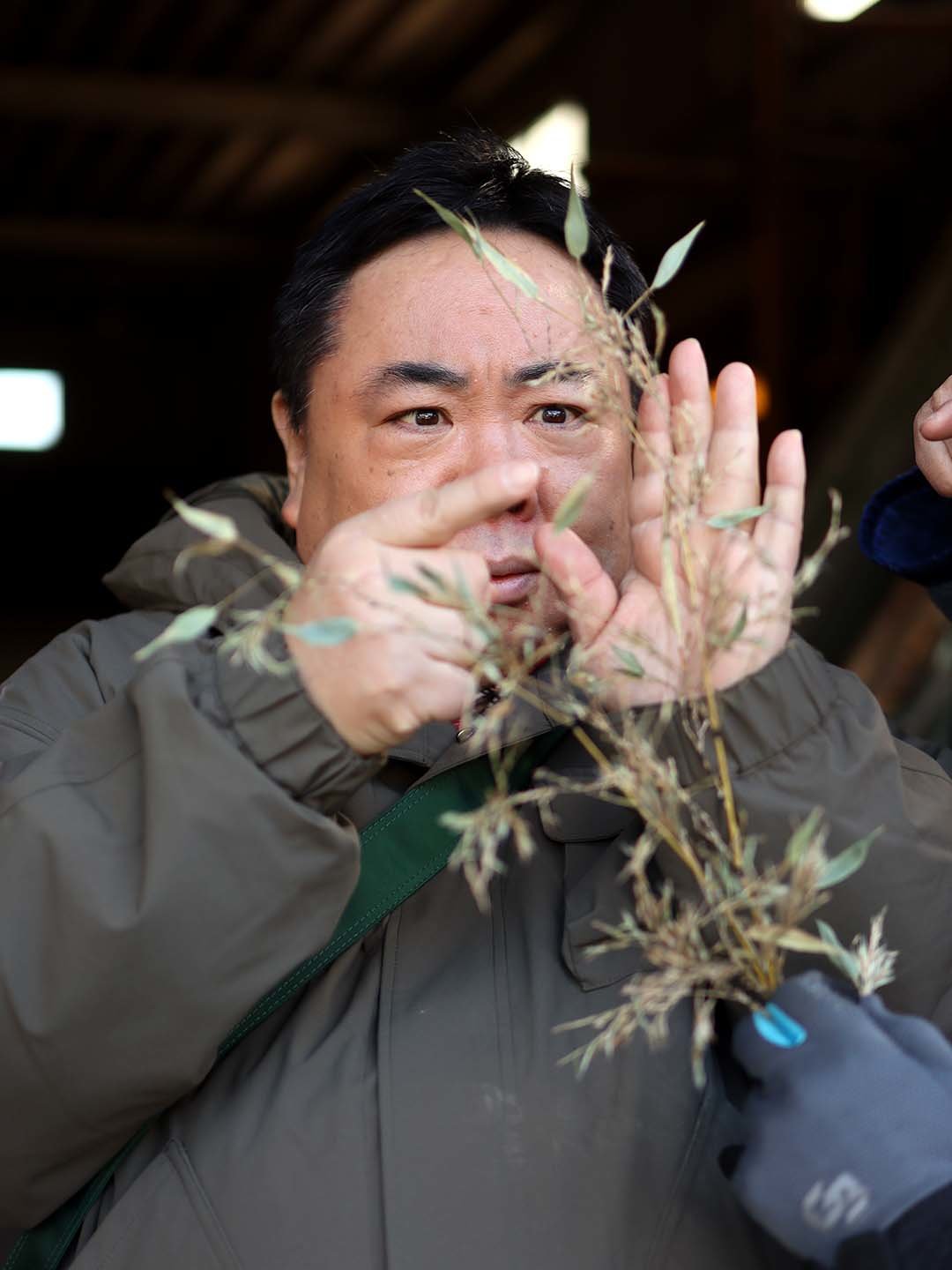 ドランクドラゴン塚地武雅、竹の花