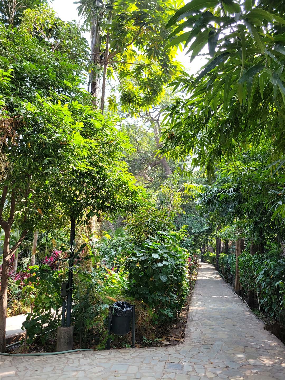 インド国立デザイン研究所(National Institute of Design)キャンパス