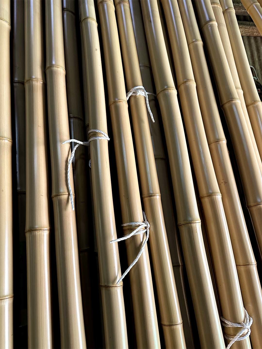 白竹矯め直し