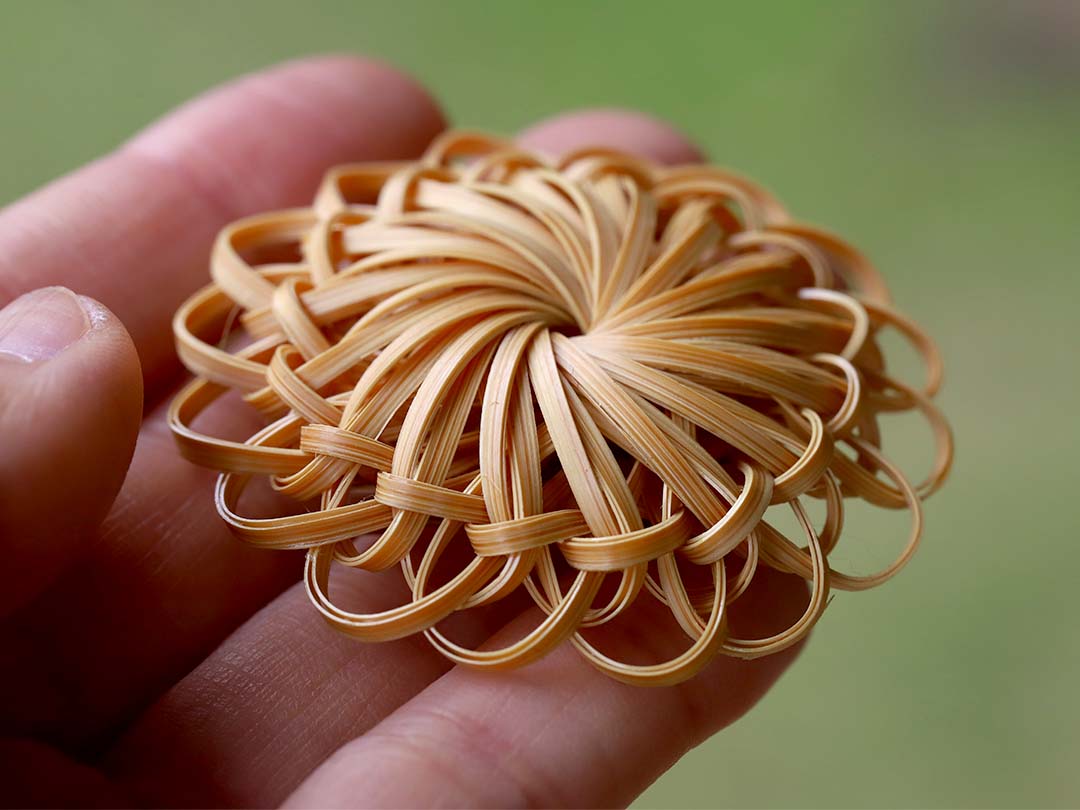 竹アクセサリー