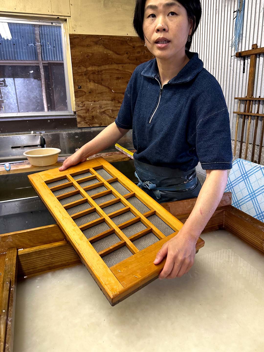 虎竹和紙