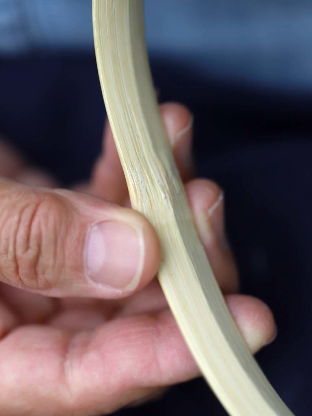 竹材