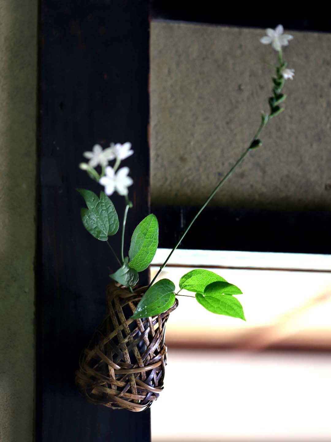 虎竹掛花籠