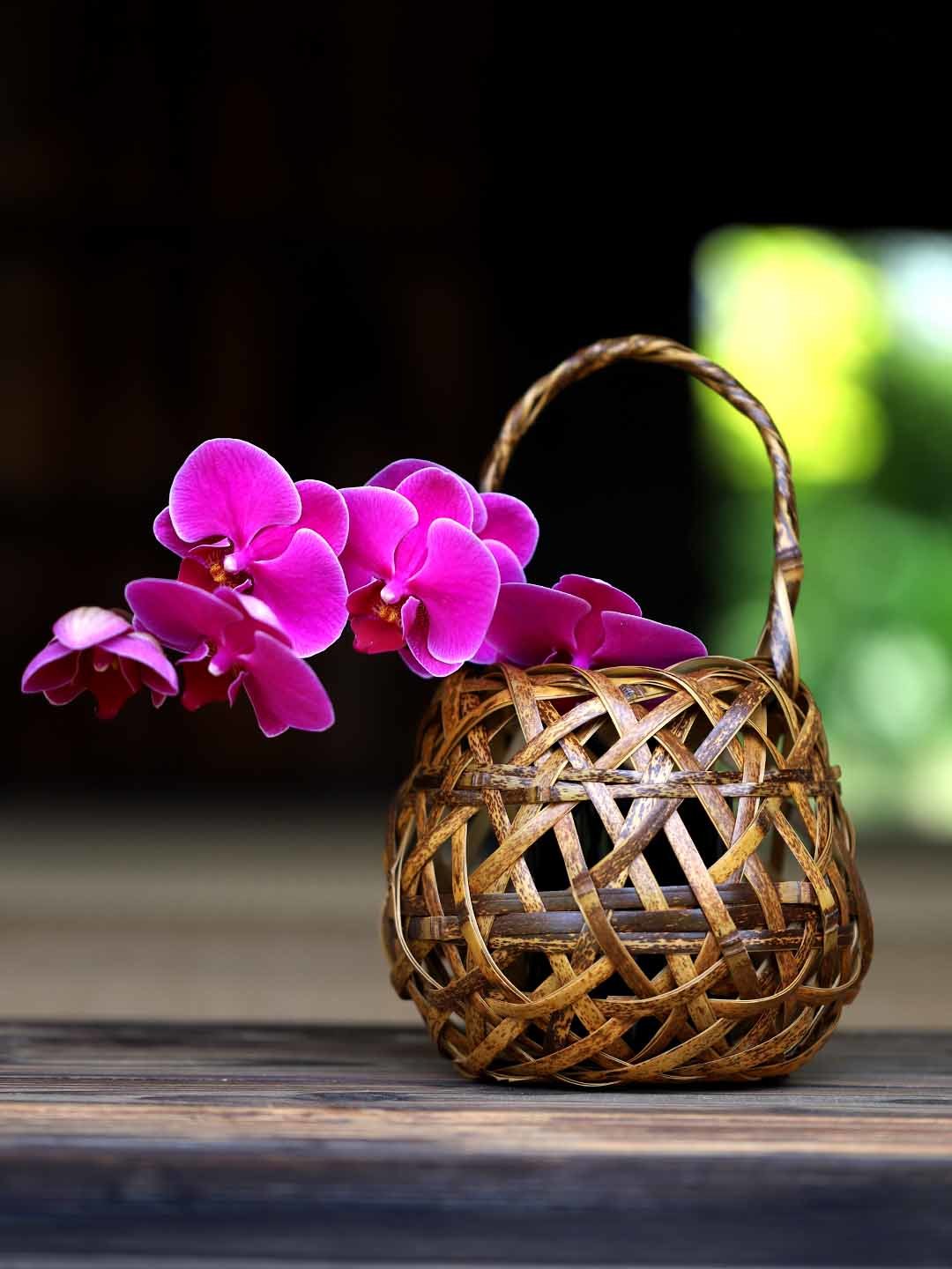 虎竹花籠