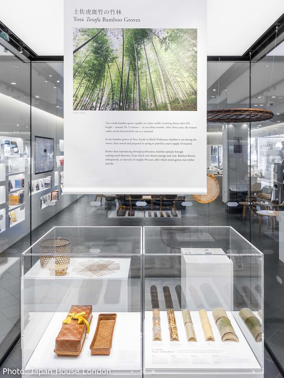 ジャパンハウス ロンドン、Japan House London『土佐虎斑竹』展示