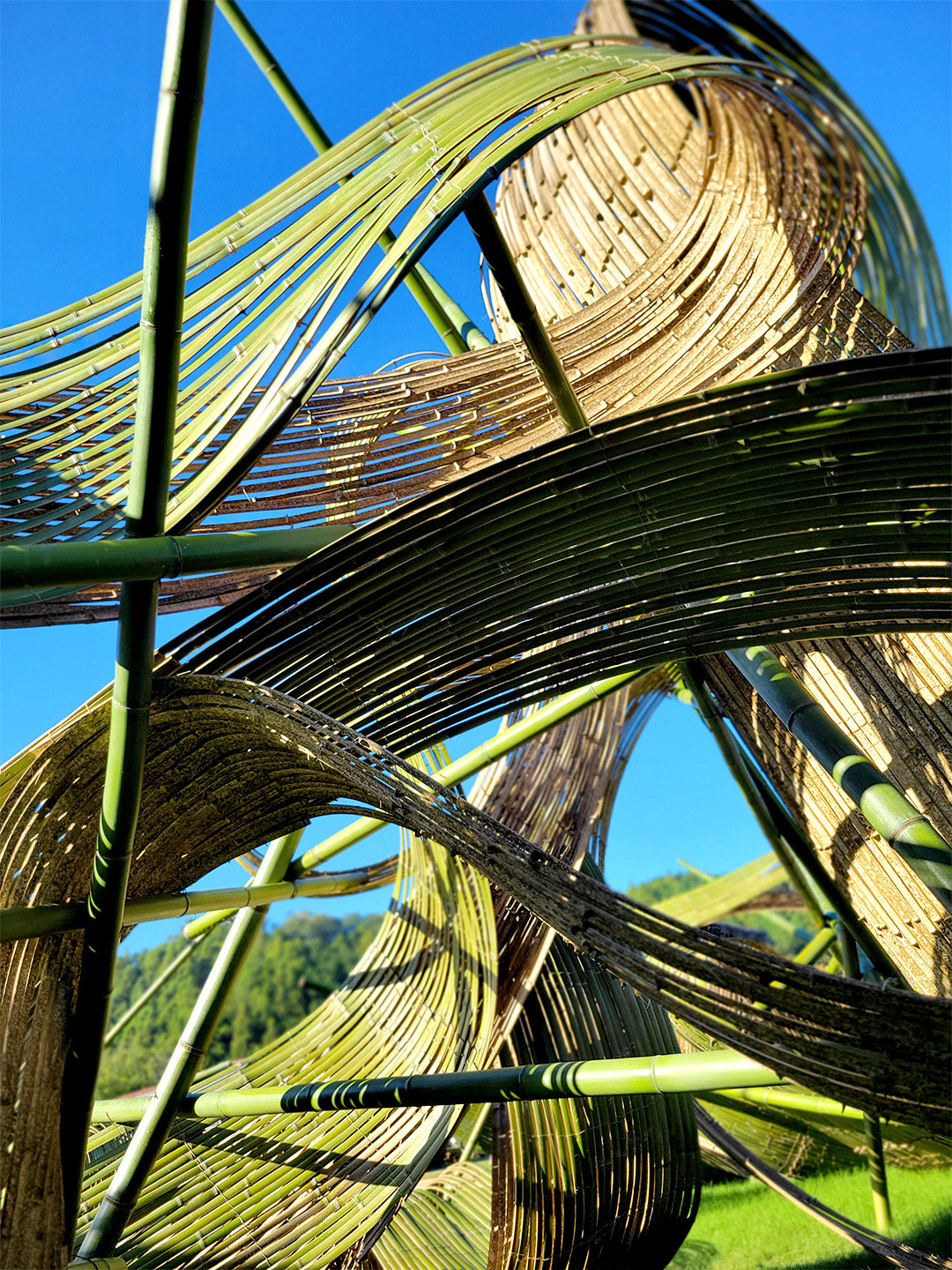 草月流第四代家元・勅使河原茜氏作の真竹インスタレーション