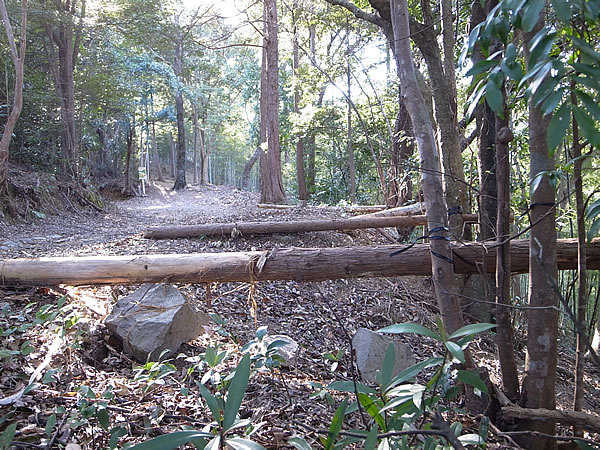 焼坂の山道