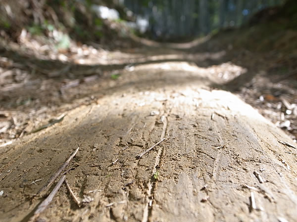 虎竹の里の山道