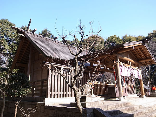 竹の神社本殿