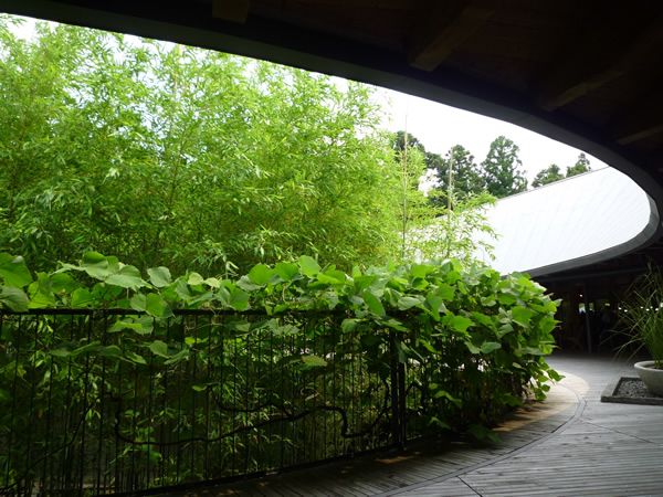 牧野植物園