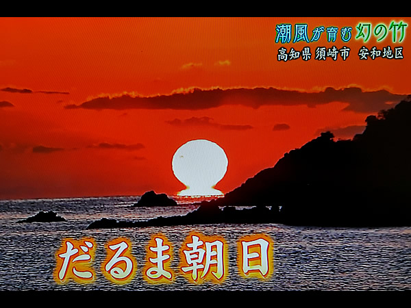 NHKテレビ放映「潮風が育む幻の竹」