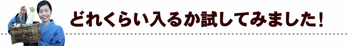 どれくらい入るか試してみました