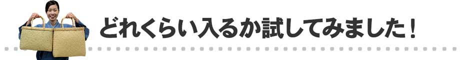 どれくらい入るか試してみました