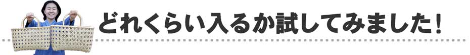 どれくらい入るか試してみました