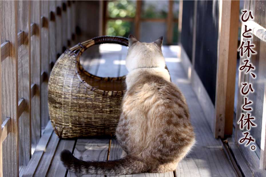 猫の籠 ハンドメイド - ペット用品