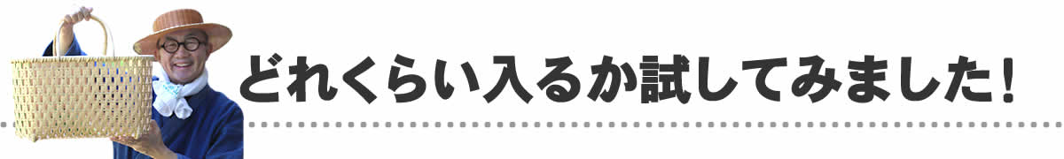 どれくらい入るか試してみました