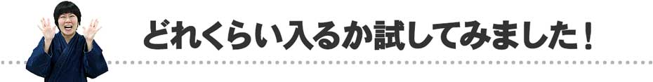 どれくらい入るか試してみました