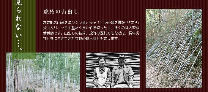 虎竹の山出し