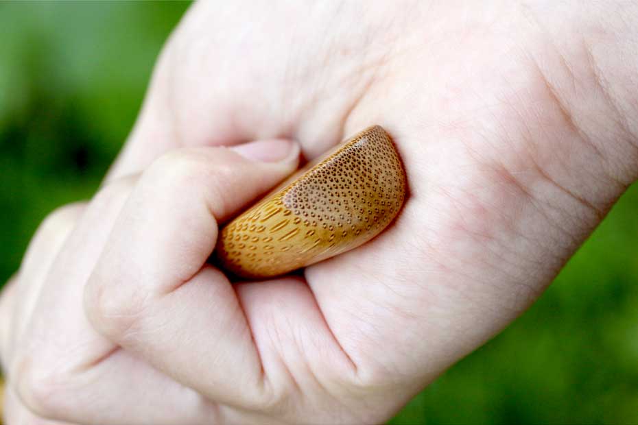 クセになるような使い心地抜群の極上竹しゃもじ