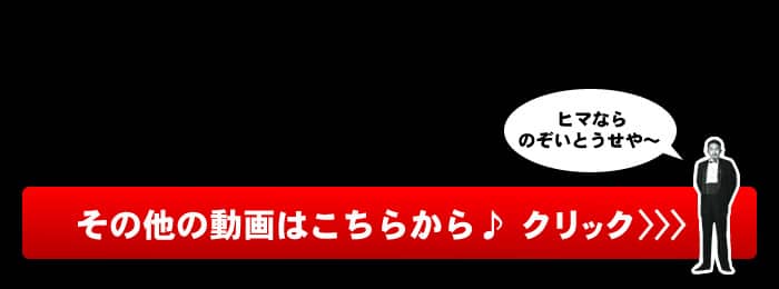 そのほかの動画はこちらから♪