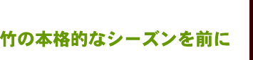 竹の本格的なシーズンを前に