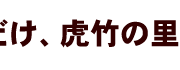 須崎市安和の虎竹の里