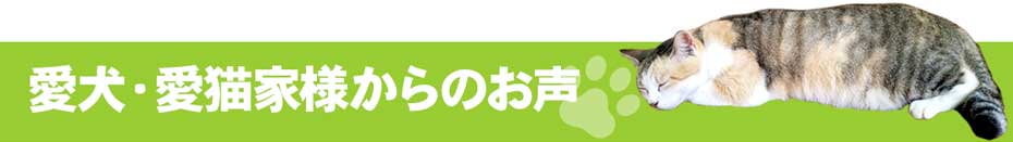 愛犬・愛猫家様からのお声