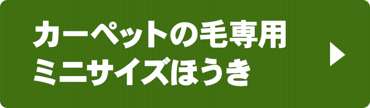 カーペットの毛専用ミニサイズほうき