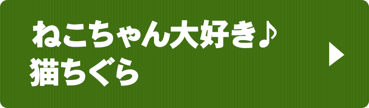 ねこちゃん大好き猫ちぐら