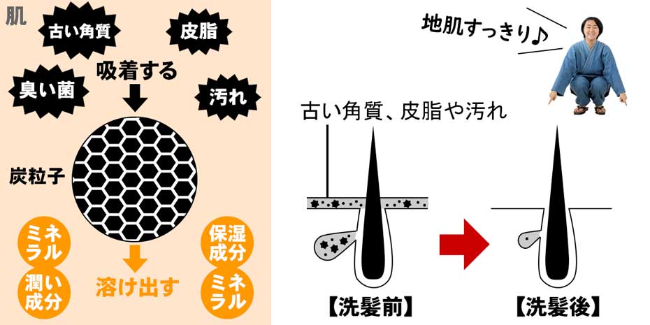 竹炭シャンプーの洗髪の仕組み