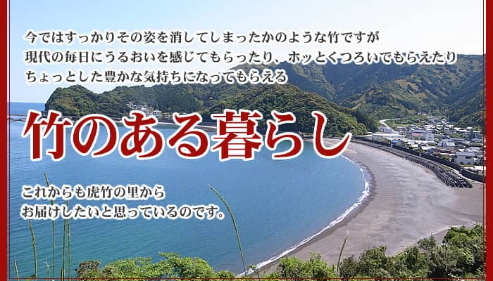 竹のある暮らしを虎竹の里からお届けしたい