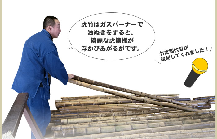 虎竹