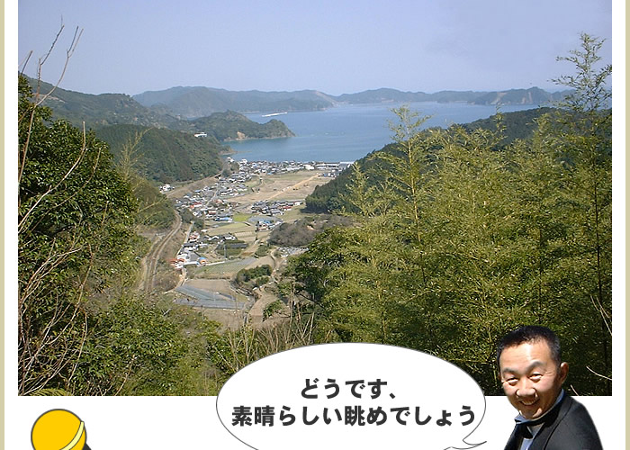 どうです、素晴らしい眺めでしょう。
