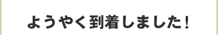 ようやく到着しました!