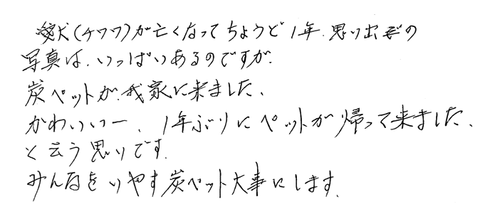 炭ペット（チワワ）　１年ぶりにペットが帰って来ました。