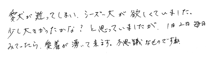 炭ペット（コーギー）　１日２日毎日みていたら、愛着が湧いて来ます。