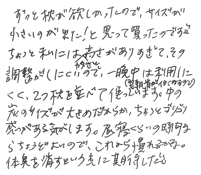 国産竹炭100％熟睡ピロー