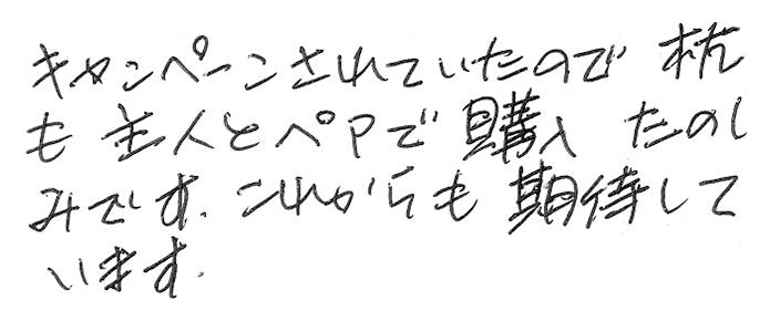 国産竹炭100％熟睡ピロー