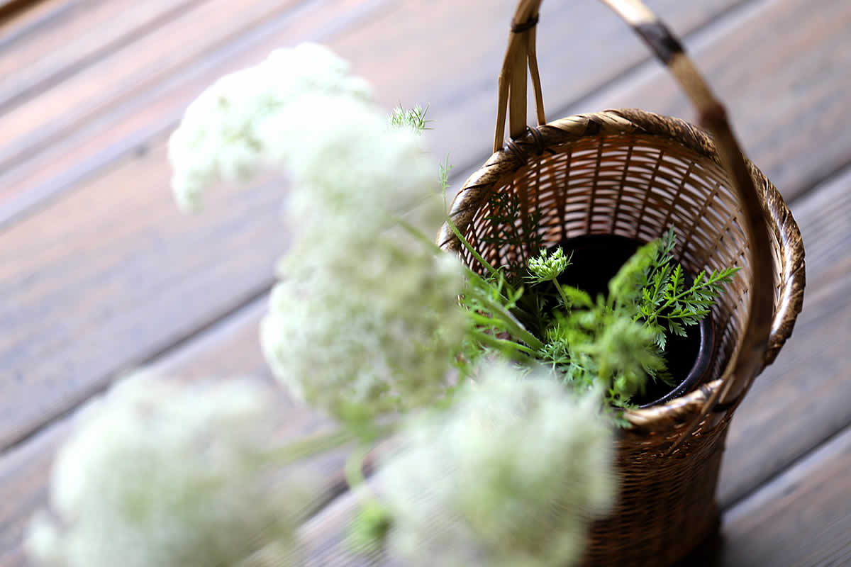 虎竹花籠 朝顔