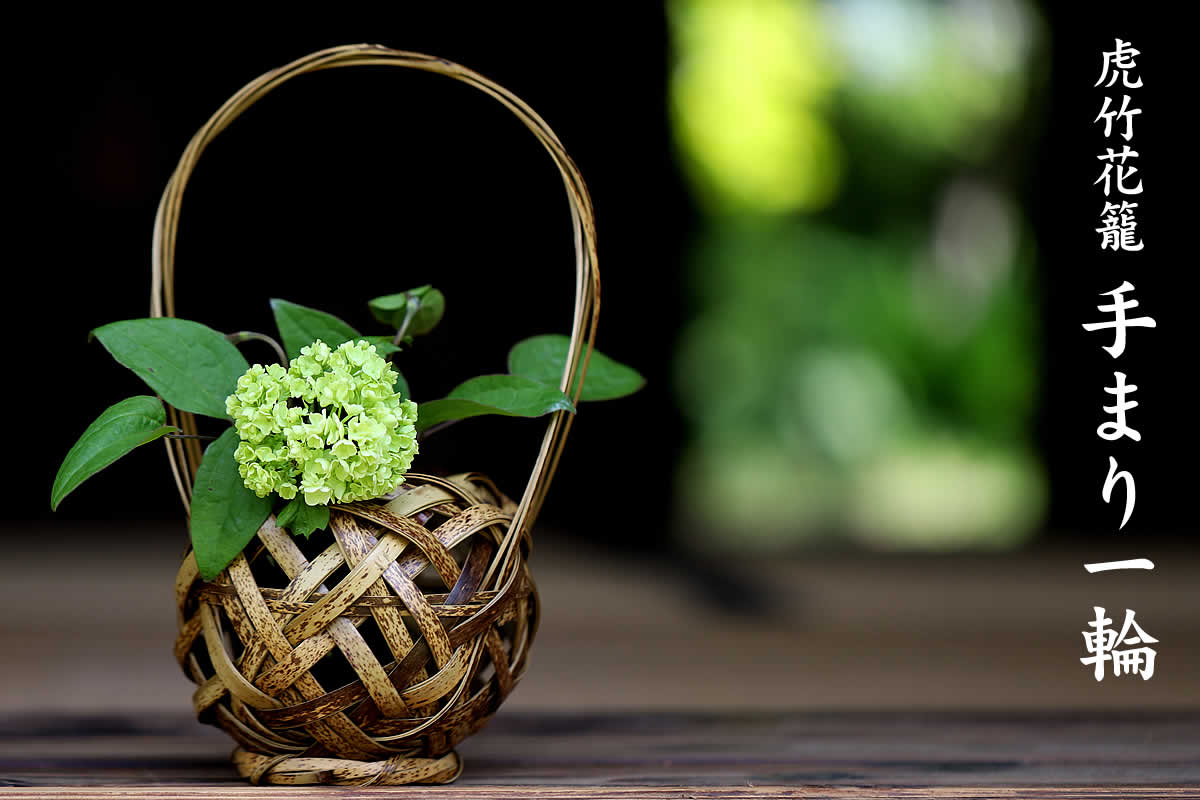 気軽に飾りやすいサイズで丸みのある形が可愛らしい虎竹花籠  てまり一輪