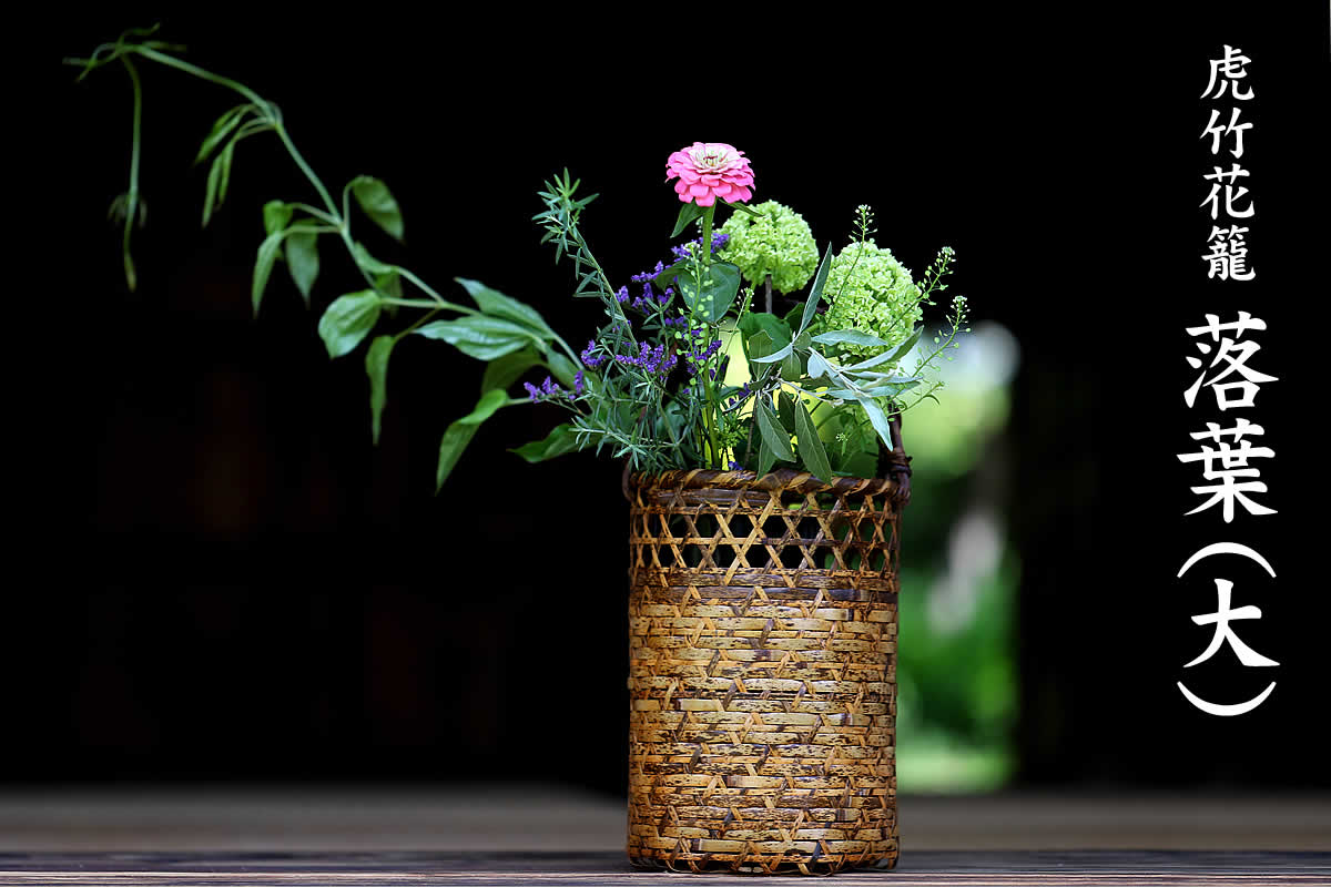 インテリアに馴染みやすく、背の高い花木も華やかに生けられる虎竹花籠 落葉（大）