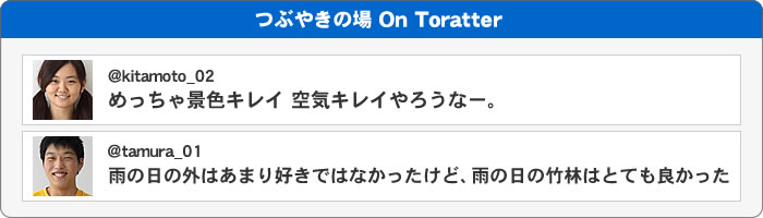 つぶやきの場 On Toratter