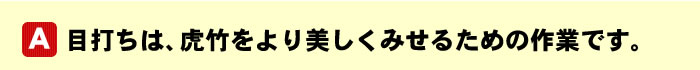 目打ちは、虎竹をより美しくみせるための作業です。