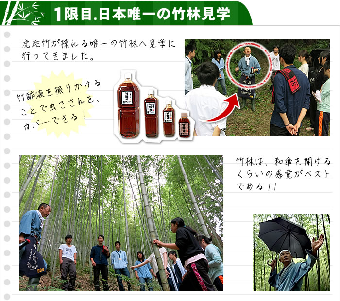 日本唯一の竹林見学
