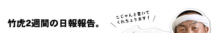 竹虎2週間の日報報告。