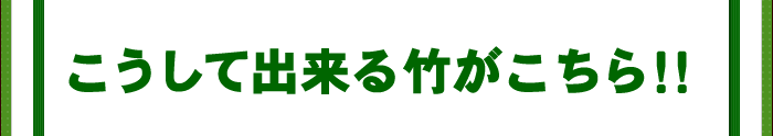 こうしてできる竹がこちら